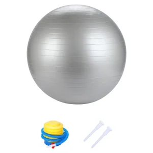 Bola de Yoga/Pilates 65cm